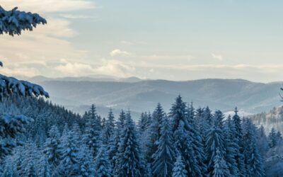 L&rsquo;air froid et la santé pulmonaire