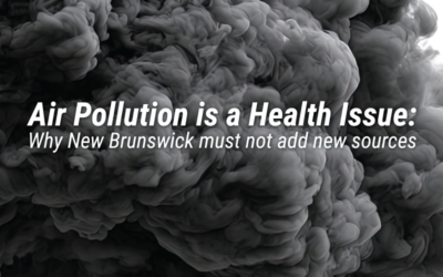 La pollution de l’air est un enjeu de santé : pourquoi le Nouveau-Brunswick ne doit pas ajouter de nouvelles sources